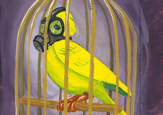 Documentation – Your IT “Canary in a Coal Mine”
