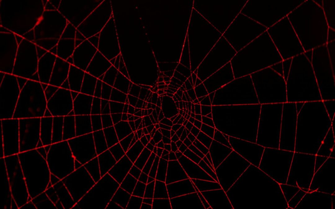 The Dark Web Drama