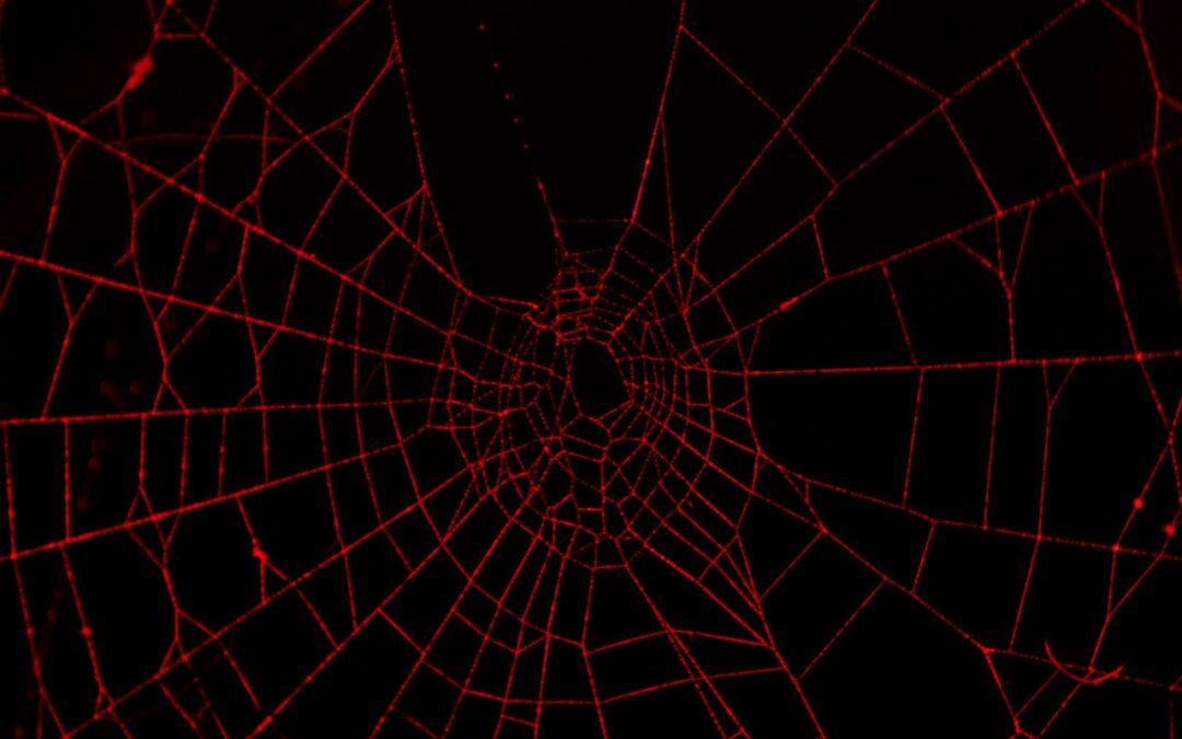 The Dark Web Drama