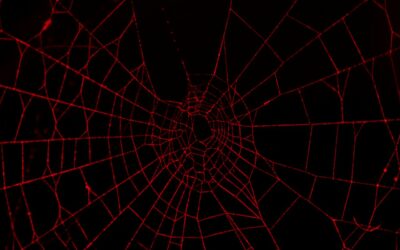 The Dark Web Drama