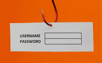 Your Phishing Guide: How to protect your business